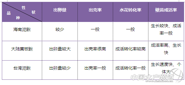 �_�����qPK������q �Ă������B��