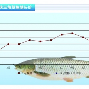 ���~������(ji��)���Ӄr���ϝq����ˮ�a(ch��n)ǰ�ء�2014��3�¿��Ј�څ��