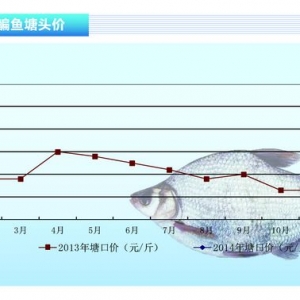 ���~���K�����~�ɽ����� �������󡪡�ˮ�aǰ�ء�2014��3�¿��Ј�څ��