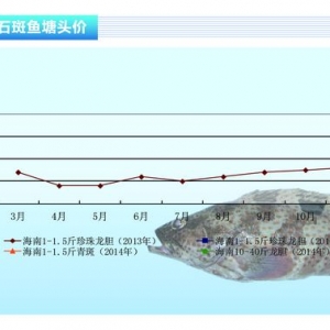 ʯ���~����Ʒ�N�r����ϝq����ˮ�aǰ�ء�2014��3�¿��Ј�څ��