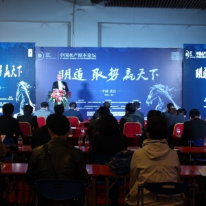 ԭ��Փ�����^�����¡��I�N�P�I������������