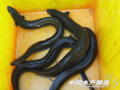 ��ُ�Nָ�ϡ�������2014�Bֳ���A���߷�