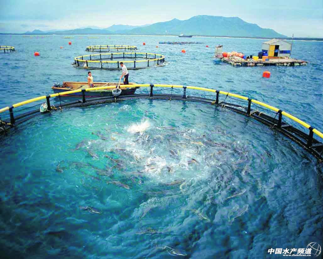 2013�꺣��ʡ��ˮ�Bֳ�O��������