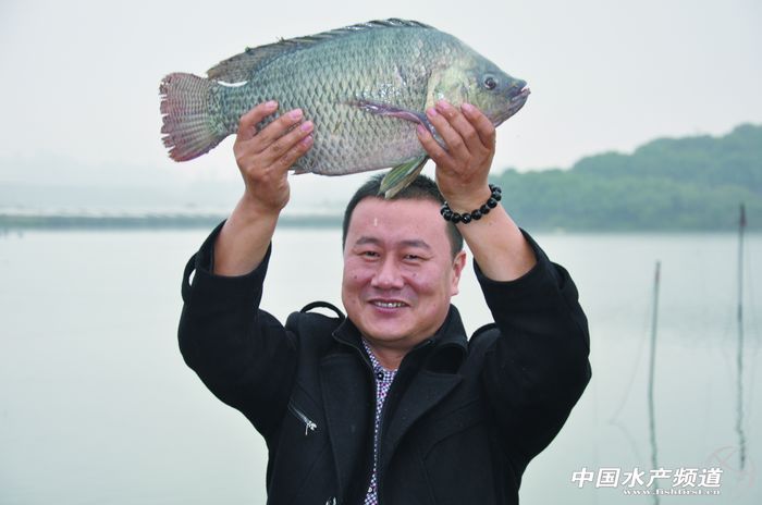 2014�A���_���~��I�^�죨�ϣ�