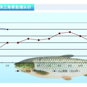 ���~���r��(w��n)������ˮ�a(ch��n)ǰ�ء�2014��4�¿��Ј�څ��