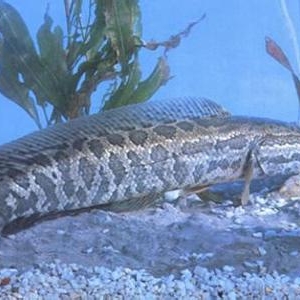 ��ُ�Nָ�ϡ����~�������ů �Bֳ���A�����L