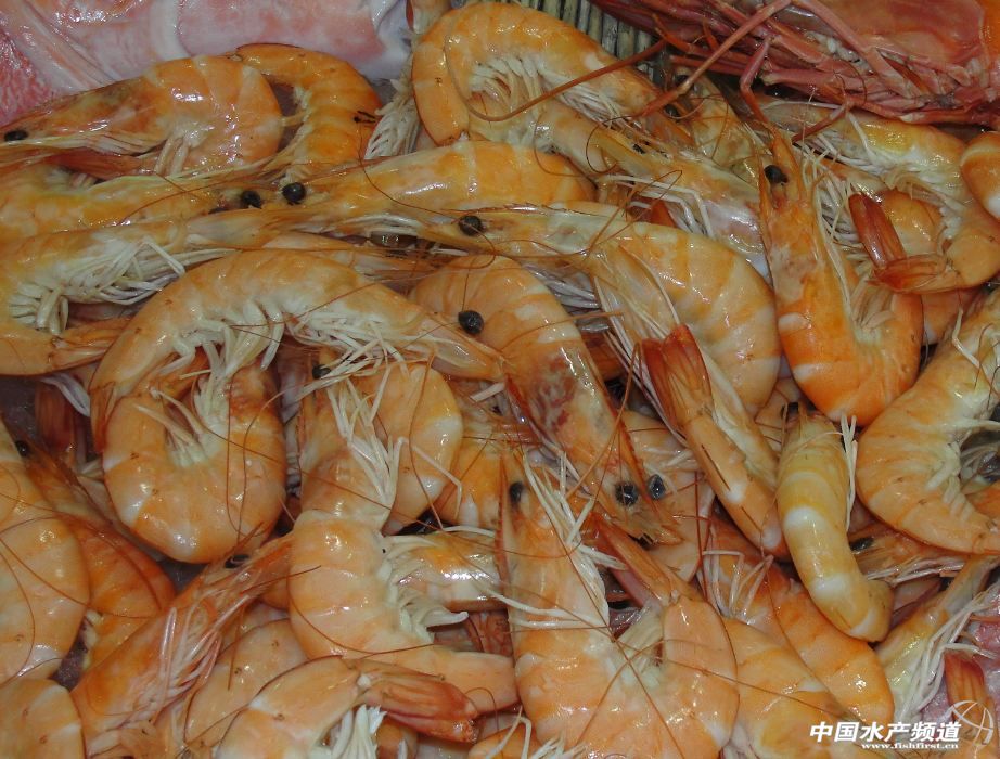 2013��ȫ���r�Ј������