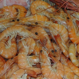 2013��ȫ��?q��)��r�Ј������