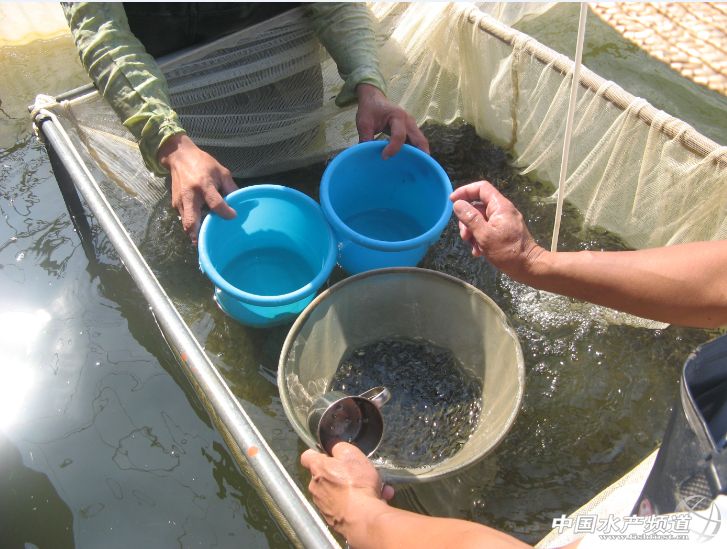 2014�A���_���~��I�^�죨�£�