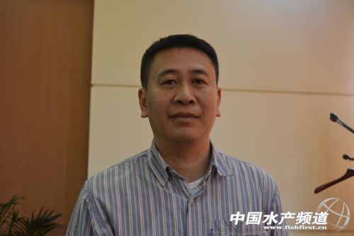 2014�A���r��I�^�죨����