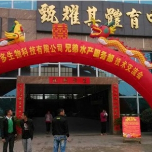 �G�ٶ༼�g�ƏV�����_�Ä� �_ɽ��������A�M��Ļ