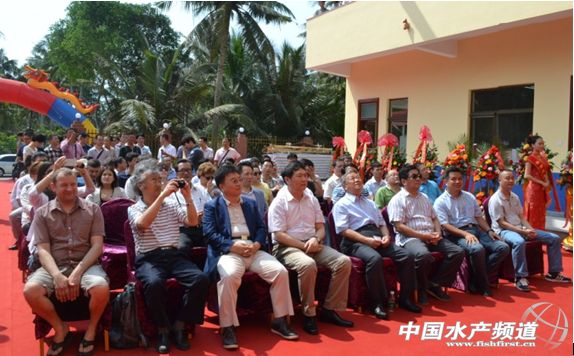 ȫ�����D��ꑻ�ˮѭ�h���������Ƅ�ģʽ׃��