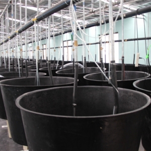 ���r��y�ֽB�d�R���r�I�M܊�A�|