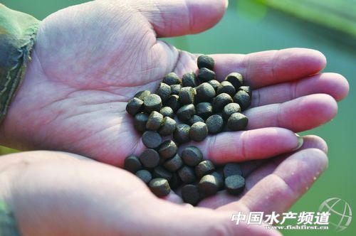 �����|�Bֳȫ��Ͷ�ϫ@ͻ��