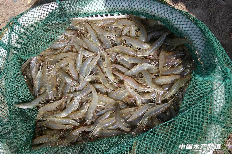 2014����}�㌦�r�����Bֳ��r