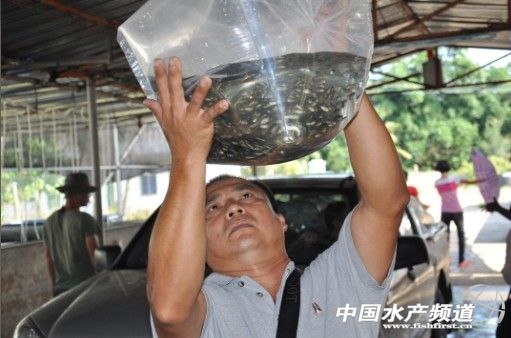 �A���_���~�Bֳ�����L����