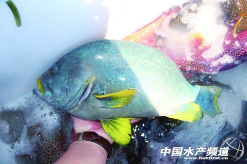 ���M�R������̽�L����O�I