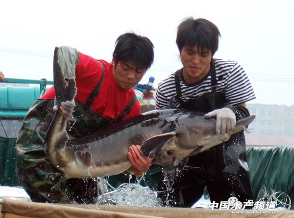 ������{���{�ɘ�Թ�˾����֧��9ǧ�f