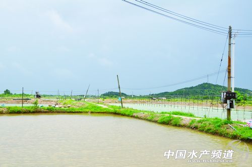 �V�|���r�����Bֳ�������o���D