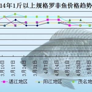 �_���~�܈�(b��o)���������p��  �~�r(ji��)���F(xi��n)�»�