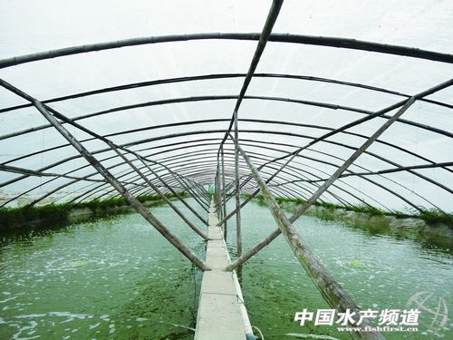 ����A�|���r