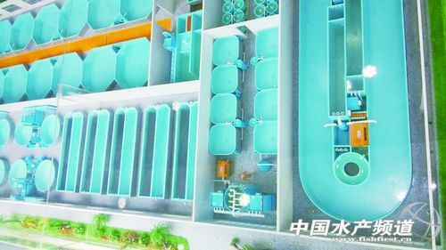 ���r�ܵ�ʽ�Bֳ����Ч����EMS