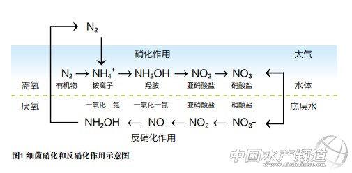 ��������Ч���ز�ԭ�·���