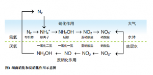 ��������Ч���ز�ԭ�·���