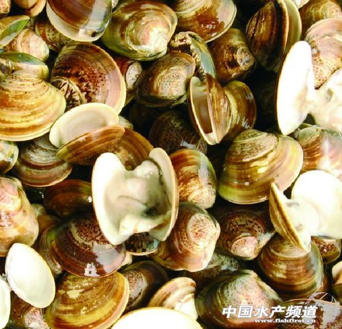 �ĸ���ϻ������x�b���cˎ��ԇ�