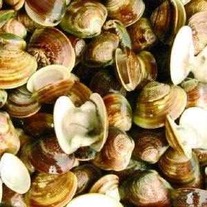 �ĸ���ϻ������x�b���cˎ��ԇ�(y��n)