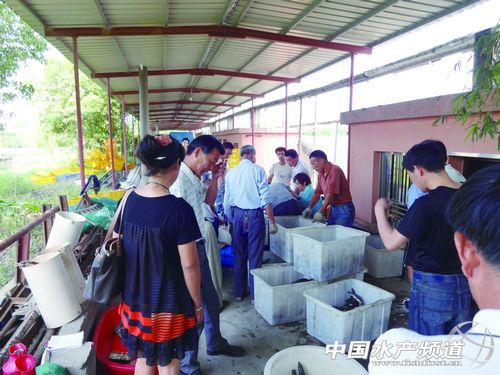 ���M�a�I�lչ�F���cǰ��