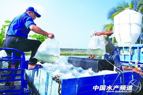 �_��ʭĿ��VSӡ��������ʭĿ��