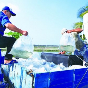 �_(t��i)��ʭĿ��VSӡ��������ʭĿ��