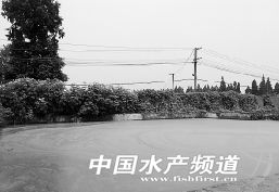 707�����~�B(y��ng)ֳ���������D(zhu��n)�a(ch��n)