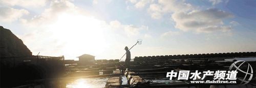 �㽭��������u���S�~�Εr�ٕ���