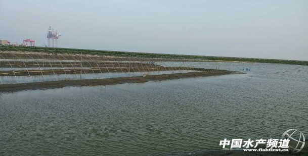 �Ϻ��؅^(q��)���r�l(f��)�����_8��