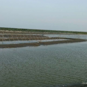 �Ϻ��؅^(q��)���r�l(f��)�����_(d��)8��