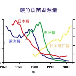 �����˹��Bֳ���~�������~�YԴ����˼