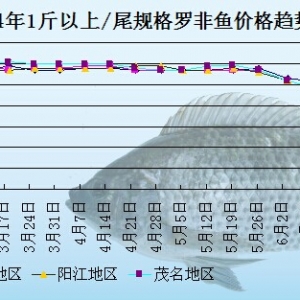 �_���~�܈�(b��o)���r(ji��)���Խ�  ���Ѓr(ji��)��q������