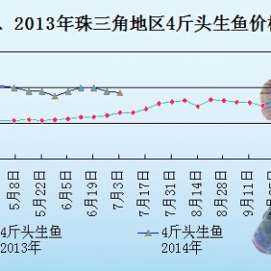 ���~�܈󣺳��~���p��  �r���»���