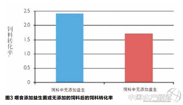 �����_���~�B(y��ng)ֳ��������