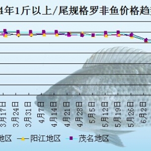 �_���~�܈�(b��o)���ӹ��Sӆ����ُ����  �~�r(ji��)���f����