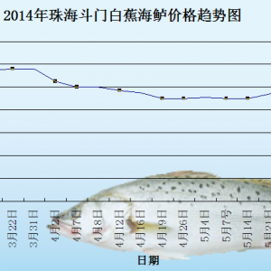 2014��7��8�պ��|�܈�δ��r�����Ј�����