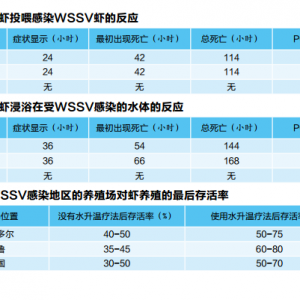 ˮ���د�������߲��r�����