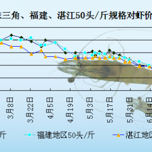 ���r�܈󣺴������r�p��   ���r�r�����@�ϝq