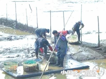 ���u�����ˆT����������з��Ʒ�N�����1̖��