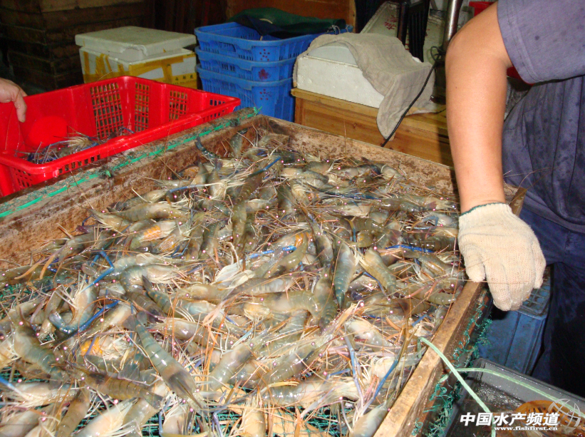 ���r���l���D(zhu��n)�B(y��ng)�����F(xi��n)