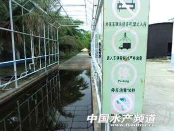 �����׌��r����������g(sh��)̽ӑ