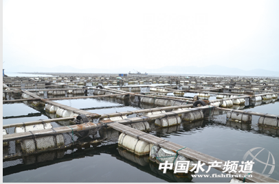 �����~�a(ch��n)�I(y��)�{(di��o)�Ј�棨�ϣ�