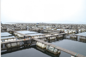 �����~�a�I�{�Ј�棨�ϣ�